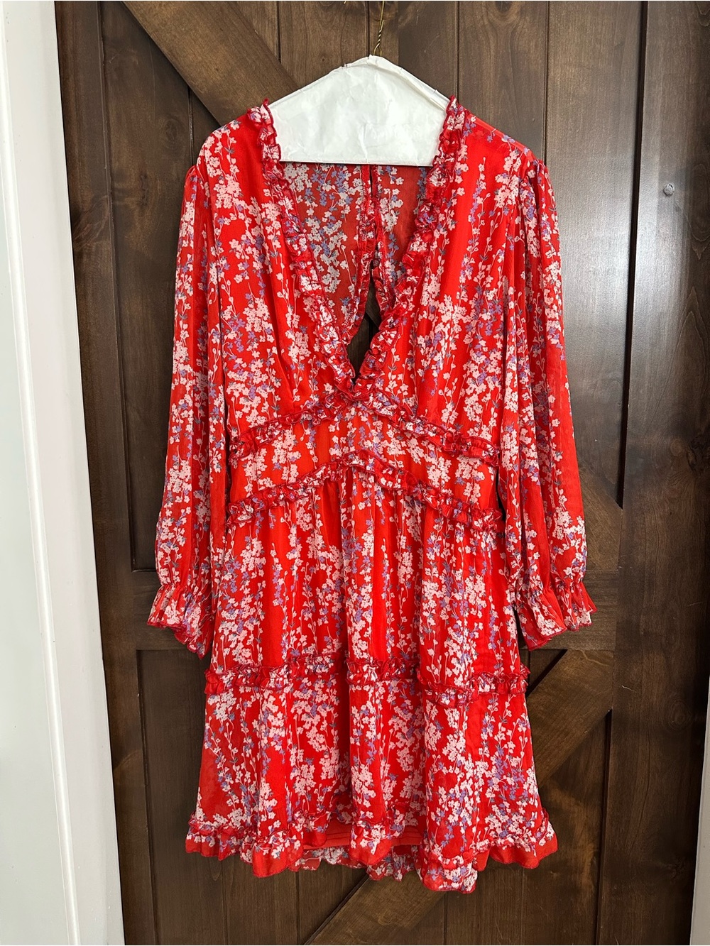 Amazon Red Floral Ruffled Mini Dress